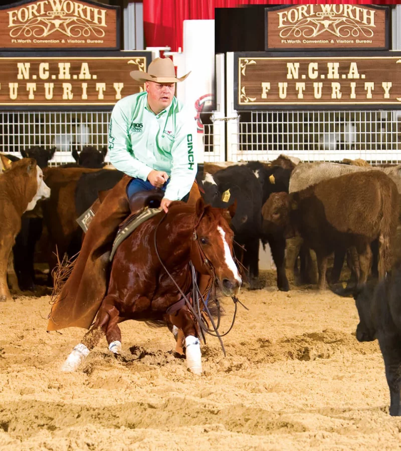 High Brow CD cutting cattle at NCHA Futurity